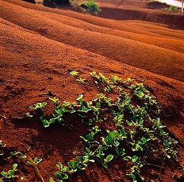 官方坚称《木卫四协议》季票死亡动画并非删减内容